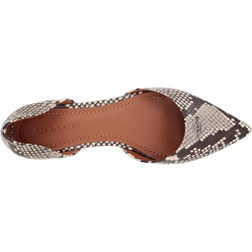 ❌SOLD- COACH Printed Exotic Pointy Toe Flat 5.5 - Picture 4 of 11